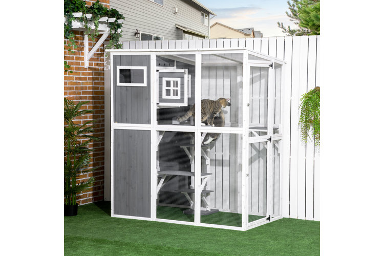 Catio wayfair hotsell